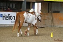 23-APHA SS_045